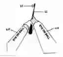 Fig. 01 - SPORTS TRAINING AID AND METHOD OF TRAINING