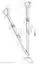 Fig. 02 - Strap restraint apparatus