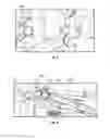 Fig. 10 - Collapsible inclinable exercise device and method of using same