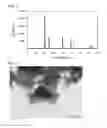 Fig. 03 - Method for preparing pyrochlore-type oxide and method for producing electrocatalyst for fuel cell