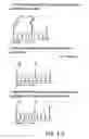Fig. 03 - Methods for sequencing polynucleotides