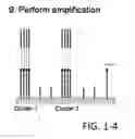 Fig. 05 - Methods for sequencing polynucleotides
