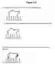 Fig. 08 - Methods for sequencing polynucleotides