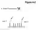Fig. 10 - Methods for sequencing polynucleotides