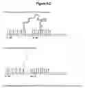 Fig. 13 - Methods for sequencing polynucleotides