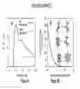 Fig. 02 - METHOD FOR BINDING SITE IDENTIFICATION BY MOLECULAR DYNAMICS SIMULATION (SILCS: SITE IDENTIFICATION BY LIGAND COMPETITIVE SATURATION)