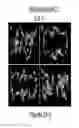 Fig. 03 - METHOD FOR BINDING SITE IDENTIFICATION BY MOLECULAR DYNAMICS SIMULATION (SILCS: SITE IDENTIFICATION BY LIGAND COMPETITIVE SATURATION)