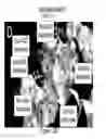 Fig. 06 - METHOD FOR BINDING SITE IDENTIFICATION BY MOLECULAR DYNAMICS SIMULATION (SILCS: SITE IDENTIFICATION BY LIGAND COMPETITIVE SATURATION)