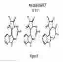 Fig. 12 - METHOD FOR BINDING SITE IDENTIFICATION BY MOLECULAR DYNAMICS SIMULATION (SILCS: SITE IDENTIFICATION BY LIGAND COMPETITIVE SATURATION)
