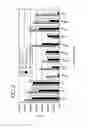 Fig. 07 - REAL-TIME PCR OF TARGETS ON A MICRO-ARRAY