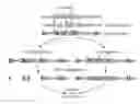 Fig. 01 - METHOD FOR THE DETECTION OF DNA METHYLATION PATTERNS
