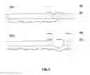 Fig. 04 - METHODS FOR IDENTIFICATION