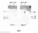 Fig. 10 - METHODS FOR IDENTIFICATION