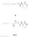 Fig. 11 - METHODS FOR IDENTIFICATION