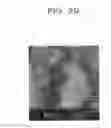 Fig. 30 - Biomaterial construct, its producing method, biomaterial support, target material purifying method, affinity chromatography container, separation chip, analyzing method and analyzing separator for target material, biomaterial complex, and its support, sensor chip, solid support with biomaterial fixed thereon