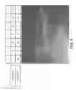 Fig. 07 - Toll-like receptor-based biosensors