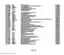 Fig. 22 - HEPATOCELLULAR CARCINOMA