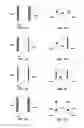 Fig. 05 - SYNAPTIC VESICLE CYCLING ASSAYS AND SYSTEMS
