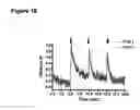Fig. 16 - SYNAPTIC VESICLE CYCLING ASSAYS AND SYSTEMS
