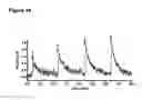 Fig. 17 - SYNAPTIC VESICLE CYCLING ASSAYS AND SYSTEMS