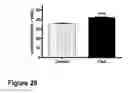 Fig. 23 - SYNAPTIC VESICLE CYCLING ASSAYS AND SYSTEMS