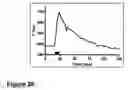 Fig. 24 - SYNAPTIC VESICLE CYCLING ASSAYS AND SYSTEMS