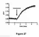 Fig. 25 - SYNAPTIC VESICLE CYCLING ASSAYS AND SYSTEMS