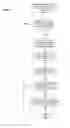Fig. 05 - Biopolymer array reading