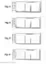 Fig. 06 - Analyzer for glycan or complex carbohydrate