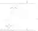 Fig. 06 - Functionalized Maleated Fatty Acids as Non Acidic Fluid Additives