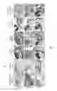 Fig. 05 - METHODS AND COMPOSITIONS RELATED TO THE REGULATION OF GOBLET CELL DIFFERENTIATION, MUCUS PRODUCTION AND MUCUS SECRETION