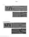 Fig. 07 - Small molecular compounds capable of accelerating proliferation of stem cells and use thereof