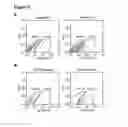 Fig. 06 - COMPOSITIONS AND METHODS FOR MICRO-RNA EXPRESSION PROFILING OF CANCER STEM CELLS