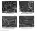 Fig. 01 - Ternary blends of aliphatic polycarbonate derived from carbon dioxide, and process for producing same