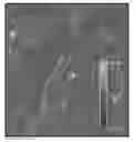 Fig. 01 - Microbial nanowires and products related thereto