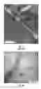 Fig. 02 - Microbial nanowires and products related thereto