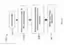 Fig. 02 - Selective heated extraction of globulin proteins from intact freshwater algal cells