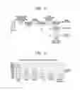 Fig. 04 - Method for preparing protein, DNA, and RNA from cell