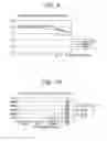 Fig. 08 - Method for preparing protein, DNA, and RNA from cell