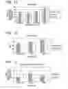 Fig. 09 - Method for preparing protein, DNA, and RNA from cell
