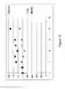 Fig. 02 - Reengineering mRNA primary structure for enhanced protein production