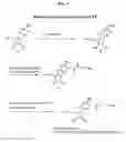 Fig. 06 - Nucleic acid labelling compounds