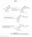 Fig. 08 - Nucleic acid labelling compounds