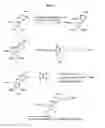 Fig. 09 - Nucleic acid labelling compounds
