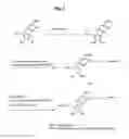 Fig. 10 - Nucleic acid labelling compounds