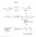 Fig. 12 - Nucleic acid labelling compounds