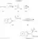 Fig. 28 - Cold menthol receptor-1 antagonists