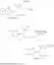Fig. 30 - Cold menthol receptor-1 antagonists
