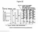 Fig. 19 - Apparatus and methods to improve sleep, reduce pain and promote natural healing