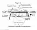 Fig. 28 - Apparatus and methods to improve sleep, reduce pain and promote natural healing